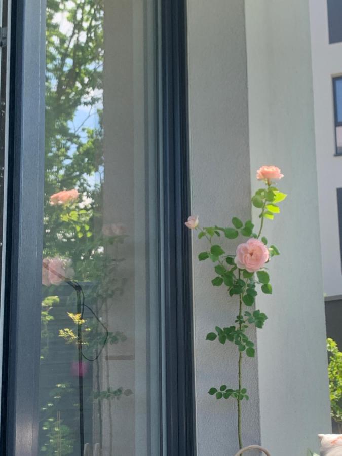 Garden Apartment Self Check-In - Bezkluczowy Dostep W 10 Minut O Kazdej Porze クラクフ エクステリア 写真